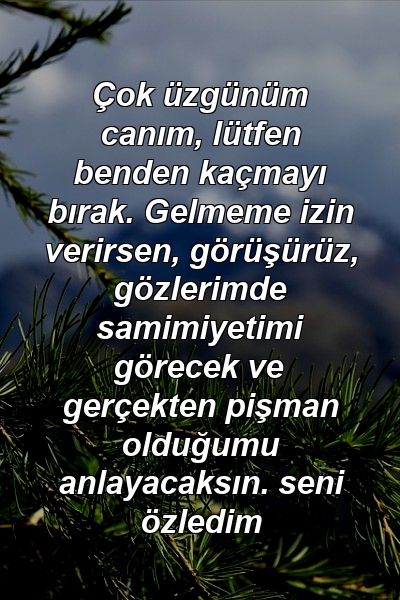 Çok üzgünüm canım, lütfen benden kaçmayı bırak. Gelmeme izin verirsen, görüşürüz, gözlerimde samimiyetimi görecek ve gerçekten pişman olduğumu anlayacaksın. seni özledim