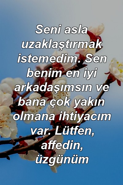 Seni asla uzaklaştırmak istemedim. Sen benim en iyi arkadaşımsın ve bana çok yakın olmana ihtiyacım var. Lütfen, affedin, üzgünüm