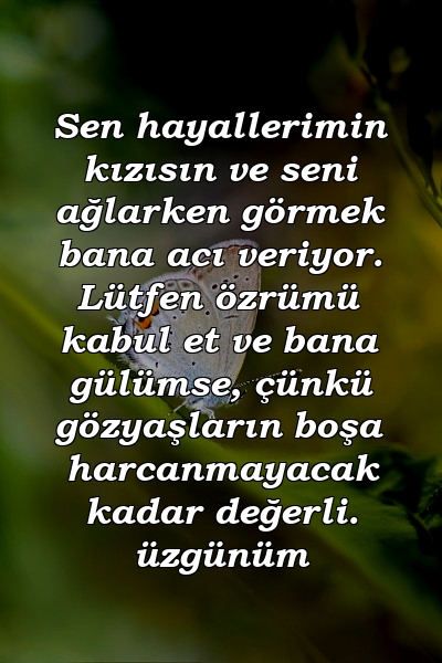 Sen hayallerimin kızısın ve seni ağlarken görmek bana acı veriyor. Lütfen özrümü kabul et ve bana gülümse, çünkü gözyaşların boşa harcanmayacak kadar değerli. üzgünüm