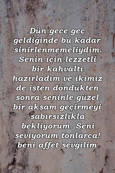 Dün gece geç geldiğinde bu kadar sinirlenmemeliydim. Senin için lezzetli bir kahvaltı hazırladım ve ikimiz de işten döndükten sonra seninle güzel bir akşam geçirmeyi sabırsızlıkla bekliyorum. Seni seviyorum tonlarca! beni affet sevgilim