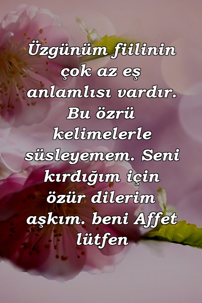 Üzgünüm fiilinin çok az eş anlamlısı vardır. Bu özrü kelimelerle süsleyemem. Seni kırdığım için özür dilerim aşkım. beni Affet lütfen