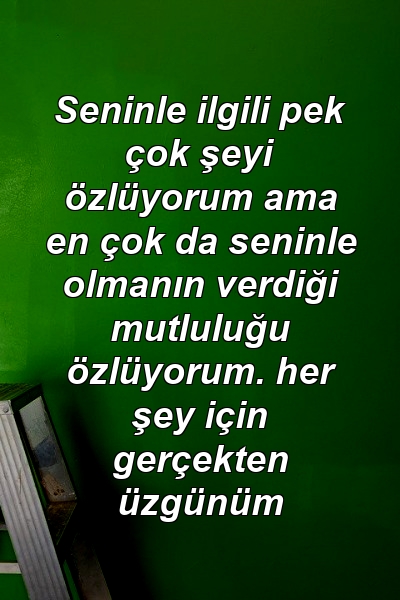 Seninle ilgili pek çok şeyi özlüyorum ama en çok da seninle olmanın verdiği mutluluğu özlüyorum. her şey için gerçekten üzgünüm