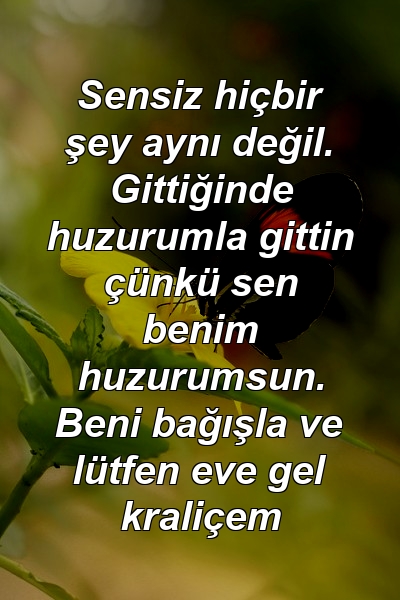 Sensiz hiçbir şey aynı değil. Gittiğinde huzurumla gittin çünkü sen benim huzurumsun. Beni bağışla ve lütfen eve gel kraliçem