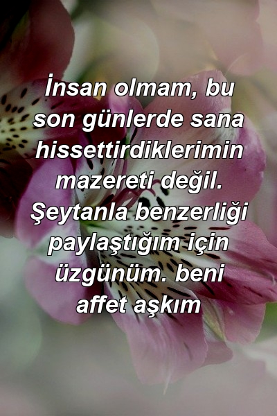 İnsan olmam, bu son günlerde sana hissettirdiklerimin mazereti değil. Şeytanla benzerliği paylaştığım için üzgünüm. beni affet aşkım