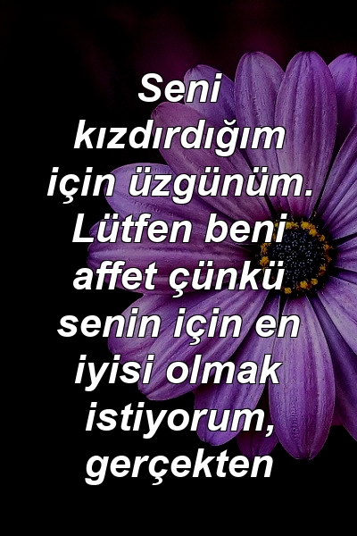 Seni kızdırdığım için üzgünüm. Lütfen beni affet çünkü senin için en iyisi olmak istiyorum, gerçekten