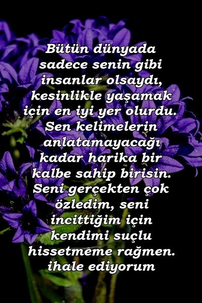 Bütün dünyada sadece senin gibi insanlar olsaydı, kesinlikle yaşamak için en iyi yer olurdu. Sen kelimelerin anlatamayacağı kadar harika bir kalbe sahip birisin. Seni gerçekten çok özledim, seni incittiğim için kendimi suçlu hissetmeme rağmen. ihale ediyorum