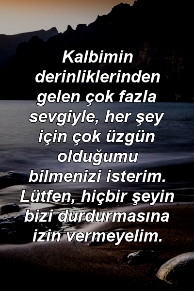 Kalbimin derinliklerinden gelen çok fazla sevgiyle, her şey için çok üzgün olduğumu bilmenizi isterim. Lütfen, hiçbir şeyin bizi durdurmasına izin vermeyelim.