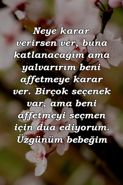 Neye karar verirsen ver, buna katlanacağım ama yalvarırım beni affetmeye karar ver. Birçok seçenek var, ama beni affetmeyi seçmen için dua ediyorum. Üzgünüm bebeğim