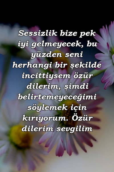 Sessizlik bize pek iyi gelmeyecek, bu yüzden seni herhangi bir şekilde incittiysem özür dilerim, şimdi belirtemeyeceğimi söylemek için kırıyorum. Özür dilerim sevgilim