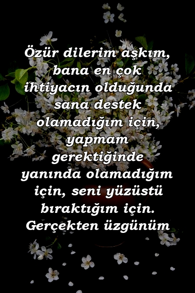 Özür dilerim aşkım, bana en çok ihtiyacın olduğunda sana destek olamadığım için, yapmam gerektiğinde yanında olamadığım için, seni yüzüstü bıraktığım için. Gerçekten üzgünüm