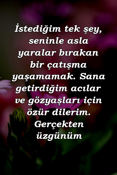 İstediğim tek şey, seninle asla yaralar bırakan bir çatışma yaşamamak. Sana getirdiğim acılar ve gözyaşları için özür dilerim. Gerçekten üzgünüm