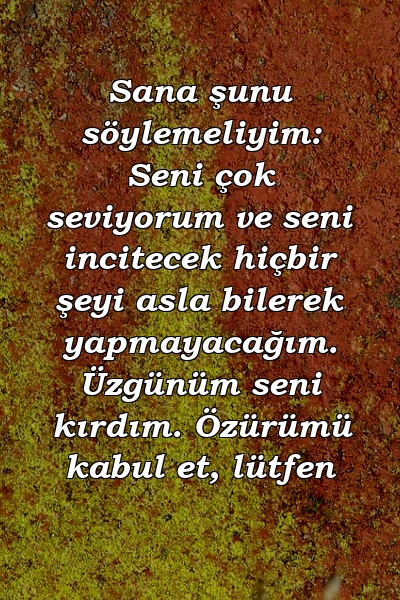 Sana şunu söylemeliyim: Seni çok seviyorum ve seni incitecek hiçbir şeyi asla bilerek yapmayacağım. Üzgünüm seni kırdım. Özürümü kabul et, lütfen