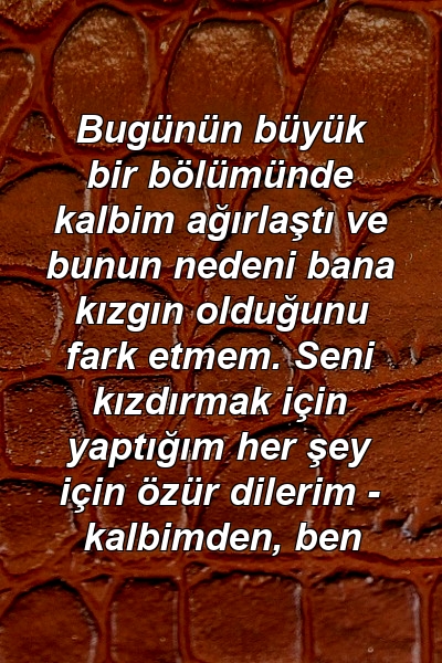 Bugünün büyük bir bölümünde kalbim ağırlaştı ve bunun nedeni bana kızgın olduğunu fark etmem. Seni kızdırmak için yaptığım her şey için özür dilerim - kalbimden, ben