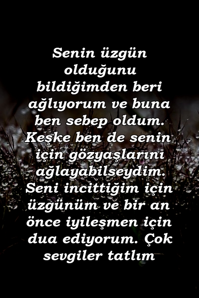 Senin üzgün olduğunu bildiğimden beri ağlıyorum ve buna ben sebep oldum. Keşke ben de senin için gözyaşlarını ağlayabilseydim. Seni incittiğim için üzgünüm ve bir an önce iyileşmen için dua ediyorum. Çok sevgiler tatlım