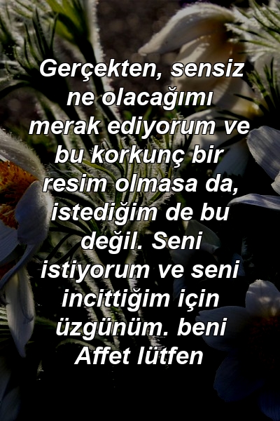 Gerçekten, sensiz ne olacağımı merak ediyorum ve bu korkunç bir resim olmasa da, istediğim de bu değil. Seni istiyorum ve seni incittiğim için üzgünüm. beni Affet lütfen