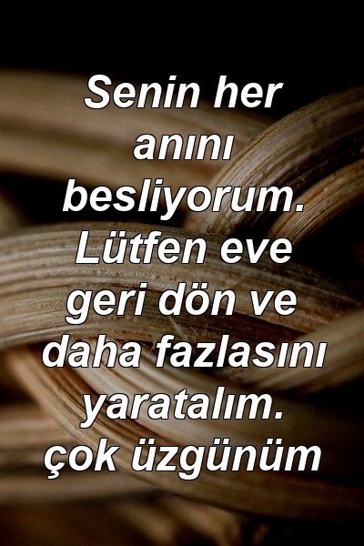 Senin her anını besliyorum. Lütfen eve geri dön ve daha fazlasını yaratalım. çok üzgünüm