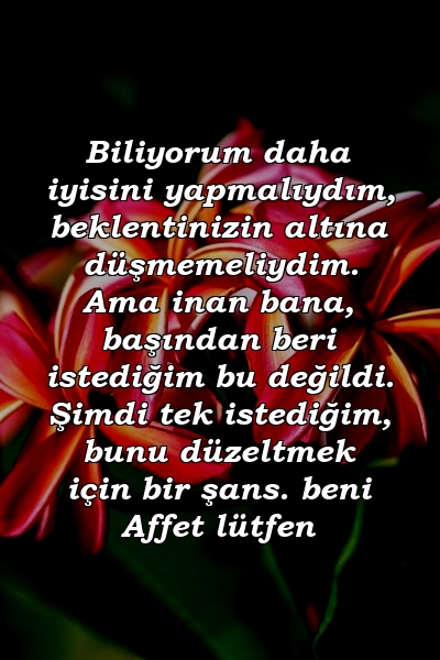 Biliyorum daha iyisini yapmalıydım, beklentinizin altına düşmemeliydim. Ama inan bana, başından beri istediğim bu değildi. Şimdi tek istediğim, bunu düzeltmek için bir şans. beni Affet lütfen