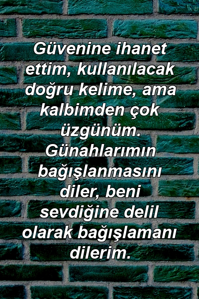 Güvenine ihanet ettim, kullanılacak doğru kelime, ama kalbimden çok üzgünüm. Günahlarımın bağışlanmasını diler, beni sevdiğine delil olarak bağışlamanı dilerim.