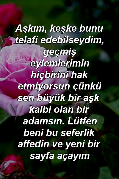 Aşkım, keşke bunu telafi edebilseydim, geçmiş eylemlerimin hiçbirini hak etmiyorsun çünkü sen büyük bir aşk kalbi olan bir adamsın. Lütfen beni bu seferlik affedin ve yeni bir sayfa açayım