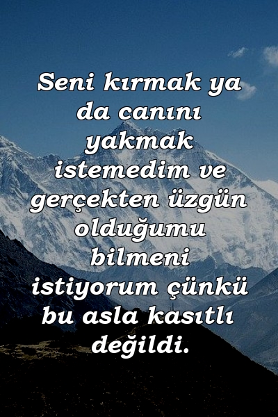 Seni kırmak ya da canını yakmak istemedim ve gerçekten üzgün olduğumu bilmeni istiyorum çünkü bu asla kasıtlı değildi.