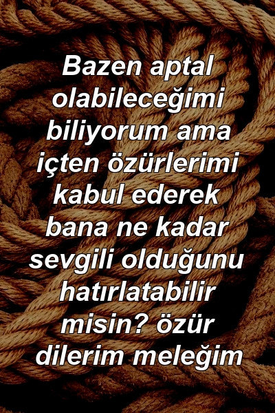 Bazen aptal olabileceğimi biliyorum ama içten özürlerimi kabul ederek bana ne kadar sevgili olduğunu hatırlatabilir misin? özür dilerim meleğim