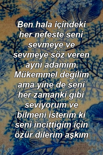 Ben hala içindeki her nefeste seni sevmeye ve sevmeye söz veren aynı adamım. Mükemmel değilim ama yine de seni her zamanki gibi seviyorum ve bilmeni isterim ki seni incittiğim için özür dilerim aşkım