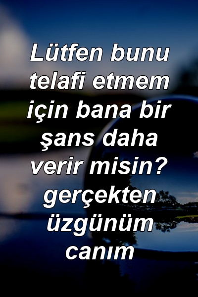 Lütfen bunu telafi etmem için bana bir şans daha verir misin? gerçekten üzgünüm canım