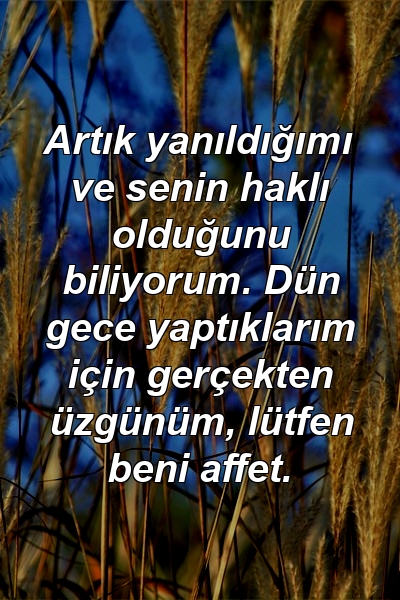 Artık yanıldığımı ve senin haklı olduğunu biliyorum. Dün gece yaptıklarım için gerçekten üzgünüm, lütfen beni affet.