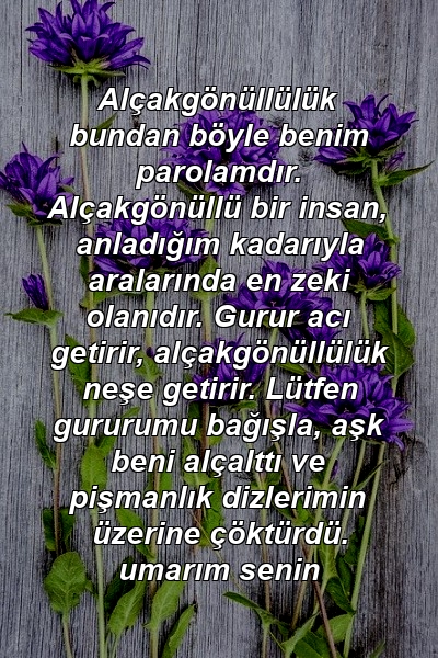 Alçakgönüllülük bundan böyle benim parolamdır. Alçakgönüllü bir insan, anladığım kadarıyla aralarında en zeki olanıdır. Gurur acı getirir, alçakgönüllülük neşe getirir. Lütfen gururumu bağışla, aşk beni alçalttı ve pişmanlık dizlerimin üzerine çöktürdü. umarım senin