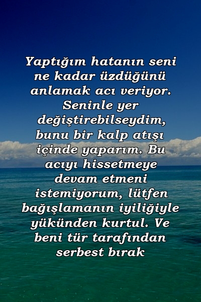 Yaptığım hatanın seni ne kadar üzdüğünü anlamak acı veriyor. Seninle yer değiştirebilseydim, bunu bir kalp atışı içinde yaparım. Bu acıyı hissetmeye devam etmeni istemiyorum, lütfen bağışlamanın iyiliğiyle yükünden kurtul. Ve beni tür tarafından serbest bırak