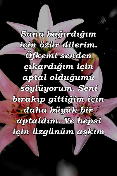 Sana bağırdığım için özür dilerim. Öfkemi senden çıkardığım için aptal olduğumu söylüyorum. Seni bırakıp gittiğim için daha büyük bir aptaldım. Ve hepsi için üzgünüm aşkım