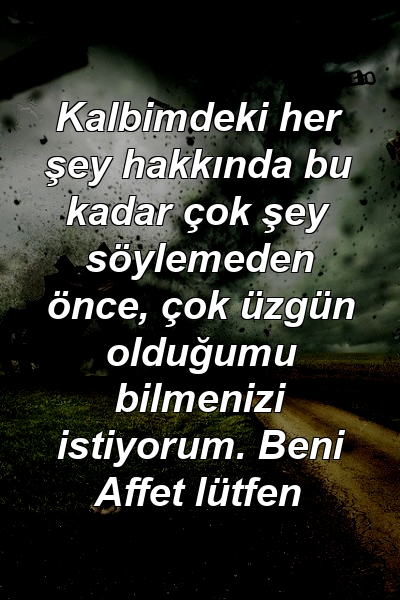 Kalbimdeki her şey hakkında bu kadar çok şey söylemeden önce, çok üzgün olduğumu bilmenizi istiyorum. Beni Affet lütfen