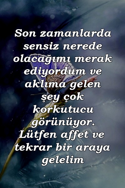 Son zamanlarda sensiz nerede olacağımı merak ediyordum ve aklıma gelen şey çok korkutucu görünüyor. Lütfen affet ve tekrar bir araya gelelim