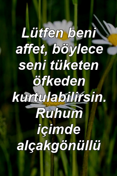 Lütfen beni affet, böylece seni tüketen öfkeden kurtulabilirsin. Ruhum içimde alçakgönüllü