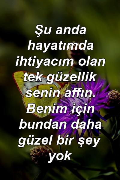 Şu anda hayatımda ihtiyacım olan tek güzellik senin affın. Benim için bundan daha güzel bir şey yok