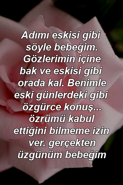 Adımı eskisi gibi söyle bebeğim. Gözlerimin içine bak ve eskisi gibi orada kal. Benimle eski günlerdeki gibi özgürce konuş... özrümü kabul ettiğini bilmeme izin ver. gerçekten üzgünüm bebeğim