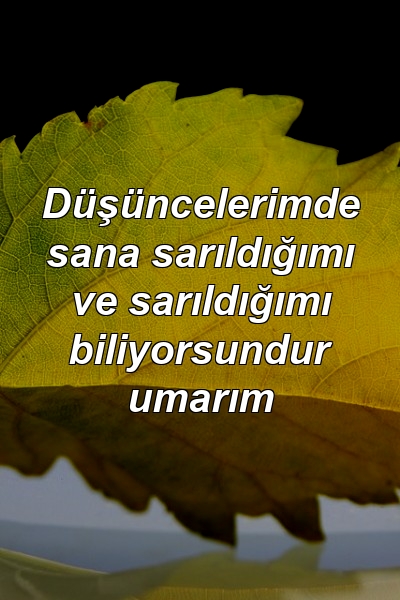 Düşüncelerimde sana sarıldığımı ve sarıldığımı biliyorsundur umarım