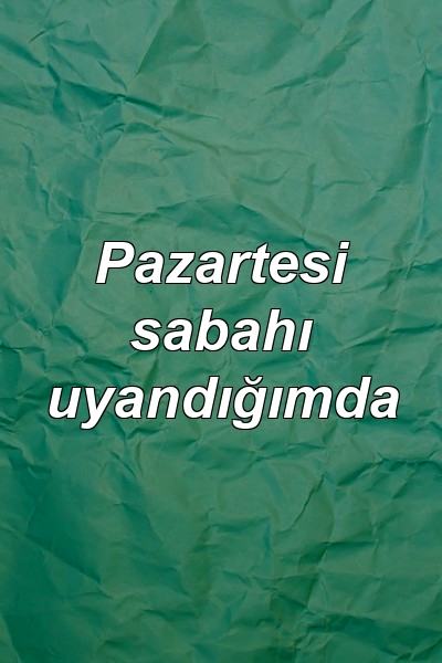 Pazartesi sabahı uyandığımda