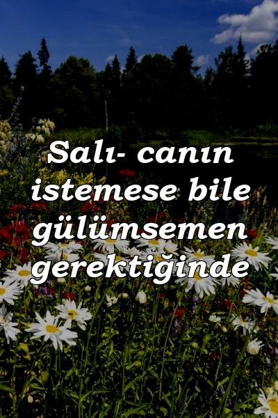 Salı- canın istemese bile gülümsemen gerektiğinde