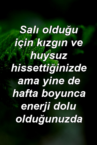 Salı olduğu için kızgın ve huysuz hissettiğinizde ama yine de hafta boyunca enerji dolu olduğunuzda