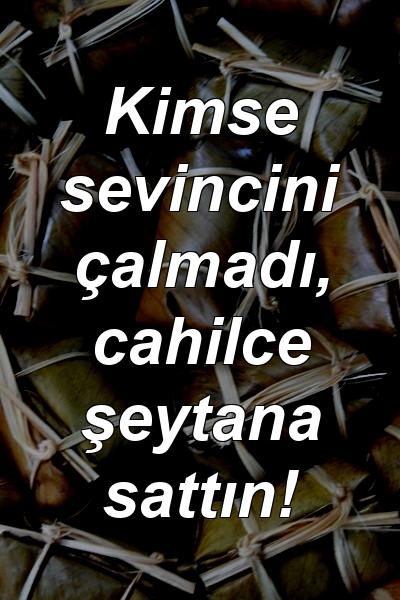 Kimse sevincini çalmadı, cahilce şeytana sattın!