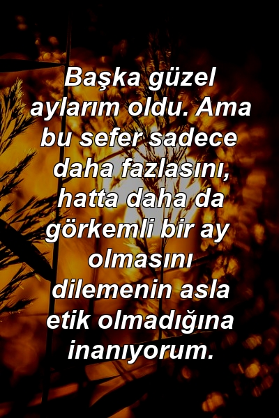 Başka güzel aylarım oldu. Ama bu sefer sadece daha fazlasını, hatta daha da görkemli bir ay olmasını dilemenin asla etik olmadığına inanıyorum.