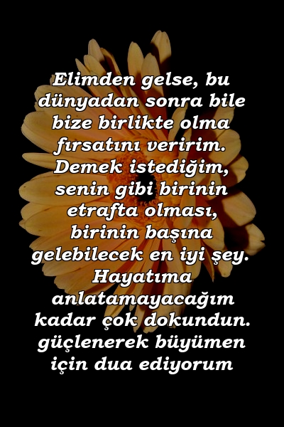 Elimden gelse, bu dünyadan sonra bile bize birlikte olma fırsatını veririm. Demek istediğim, senin gibi birinin etrafta olması, birinin başına gelebilecek en iyi şey. Hayatıma anlatamayacağım kadar çok dokundun. güçlenerek büyümen için dua ediyorum