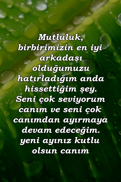 Mutluluk, birbirimizin en iyi arkadaşı olduğumuzu hatırladığım anda hissettiğim şey. Seni çok seviyorum canım ve seni çok canımdan ayırmaya devam edeceğim. yeni ayınız kutlu olsun canım