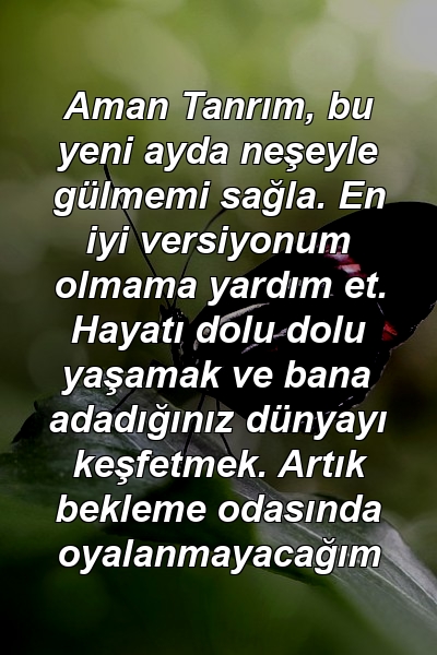 Aman Tanrım, bu yeni ayda neşeyle gülmemi sağla. En iyi versiyonum olmama yardım et. Hayatı dolu dolu yaşamak ve bana adadığınız dünyayı keşfetmek. Artık bekleme odasında oyalanmayacağım