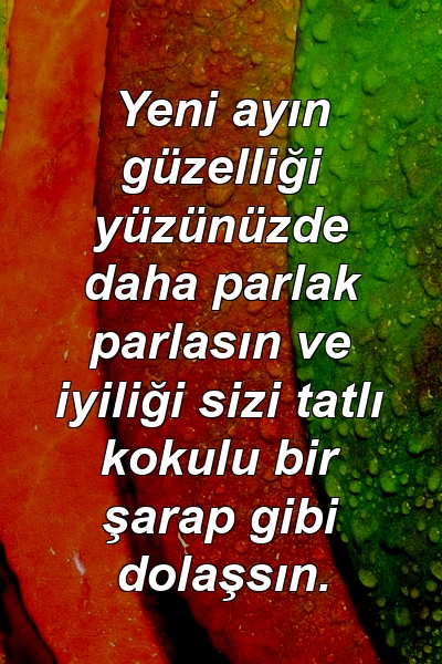 Yeni ayın güzelliği yüzünüzde daha parlak parlasın ve iyiliği sizi tatlı kokulu bir şarap gibi dolaşsın.