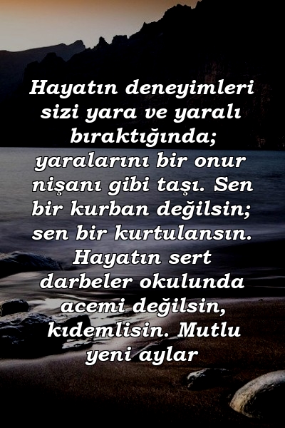 Hayatın deneyimleri sizi yara ve yaralı bıraktığında; yaralarını bir onur nişanı gibi taşı. Sen bir kurban değilsin; sen bir kurtulansın. Hayatın sert darbeler okulunda acemi değilsin, kıdemlisin. Mutlu yeni aylar