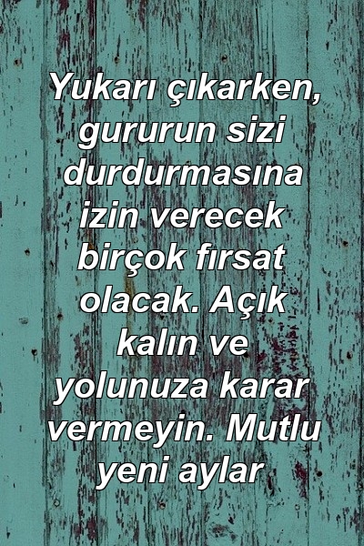 Yukarı çıkarken, gururun sizi durdurmasına izin verecek birçok fırsat olacak. Açık kalın ve yolunuza karar vermeyin. Mutlu yeni aylar