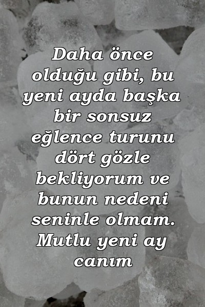 Daha önce olduğu gibi, bu yeni ayda başka bir sonsuz eğlence turunu dört gözle bekliyorum ve bunun nedeni seninle olmam. Mutlu yeni ay canım