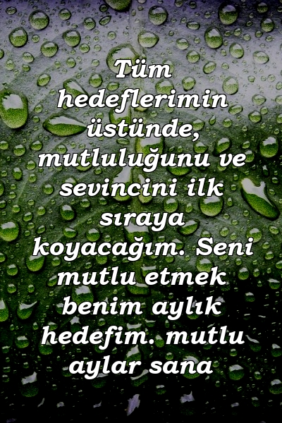 Tüm hedeflerimin üstünde, mutluluğunu ve sevincini ilk sıraya koyacağım. Seni mutlu etmek benim aylık hedefim. mutlu aylar sana